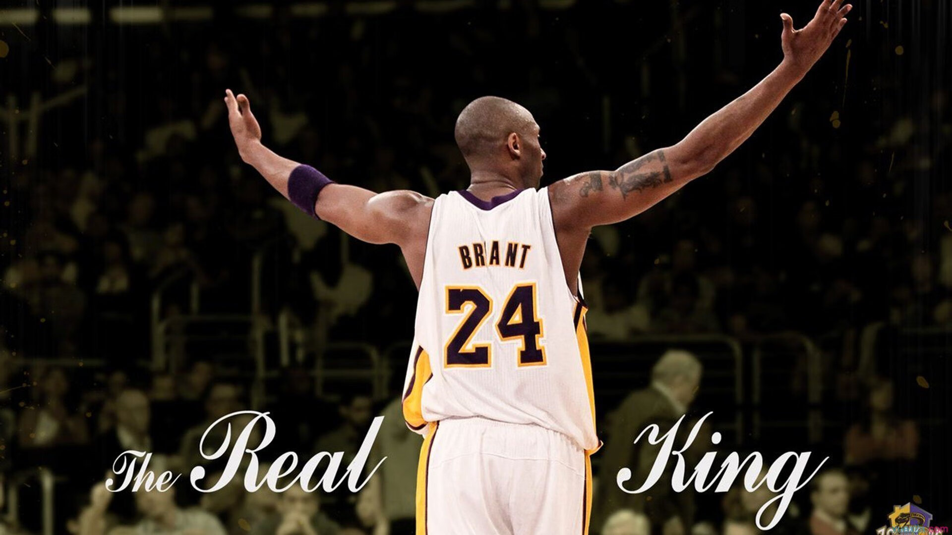 “青训计划获国家支持,未来可期”,青训还有吗